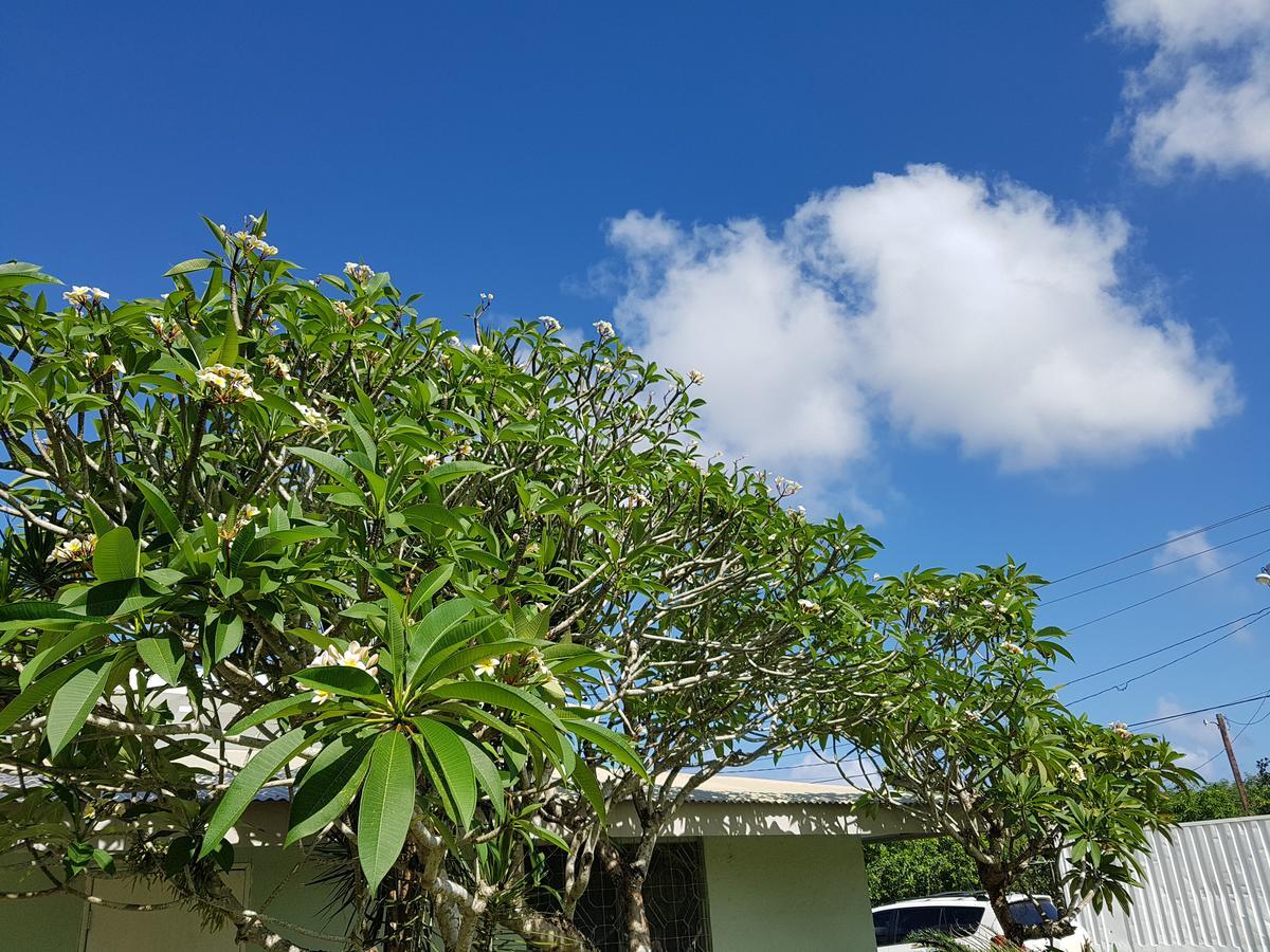 Saipan Family Residence Susupe Exterior foto